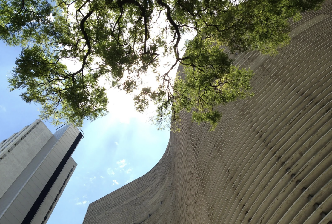 A Design-Focused São Paulo List